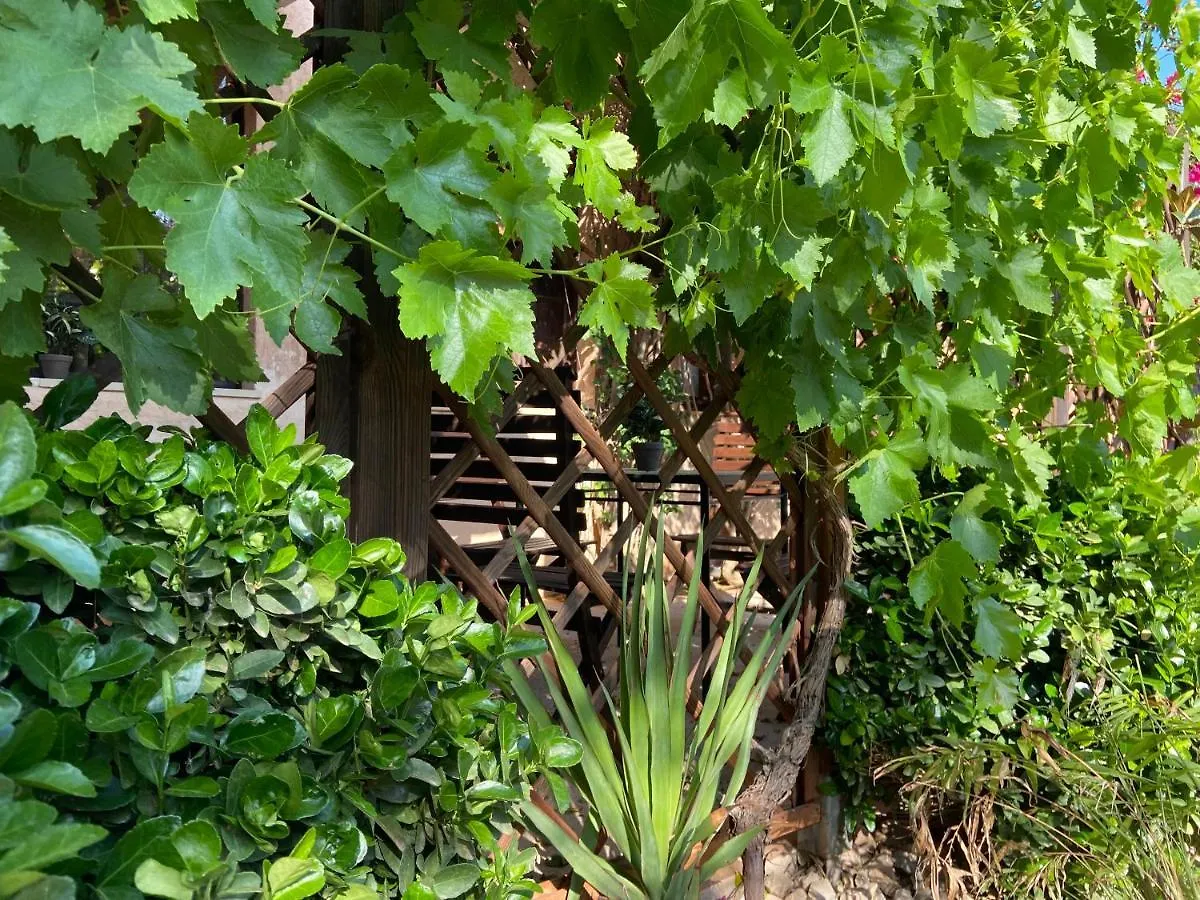Finca Sa Canova Agroturismo Campos  Farm stay