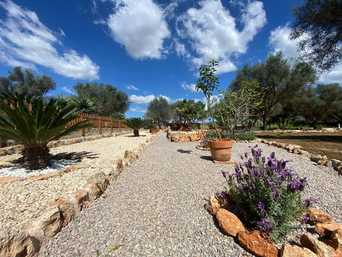 Farm stay Finca Sa Canova Agroturismo Campos  Spain