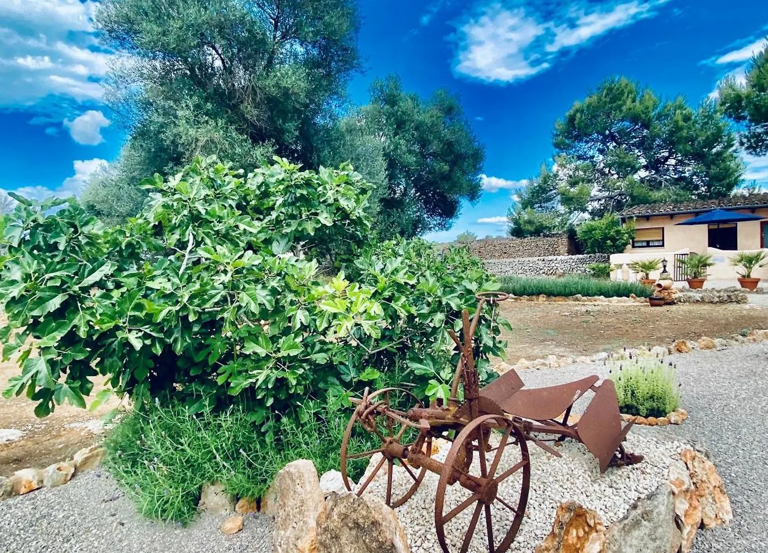 Finca Sa Canova Agroturismo Campos  Farm stay