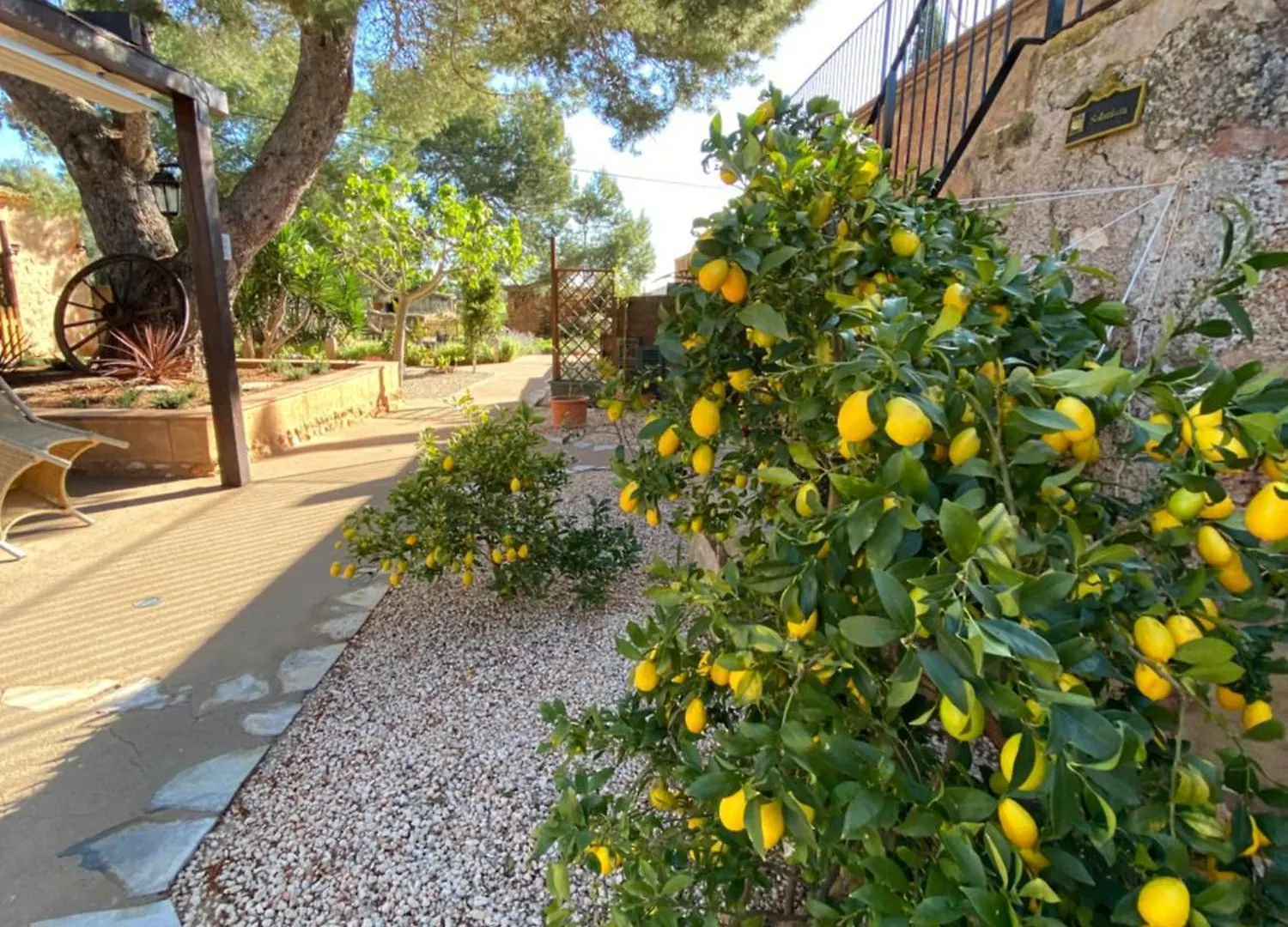 Finca Sa Canova Agroturismo Campos