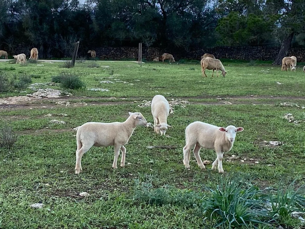 Finca Sa Canova Agroturismo Campos  0*, Campos (Mallorca)