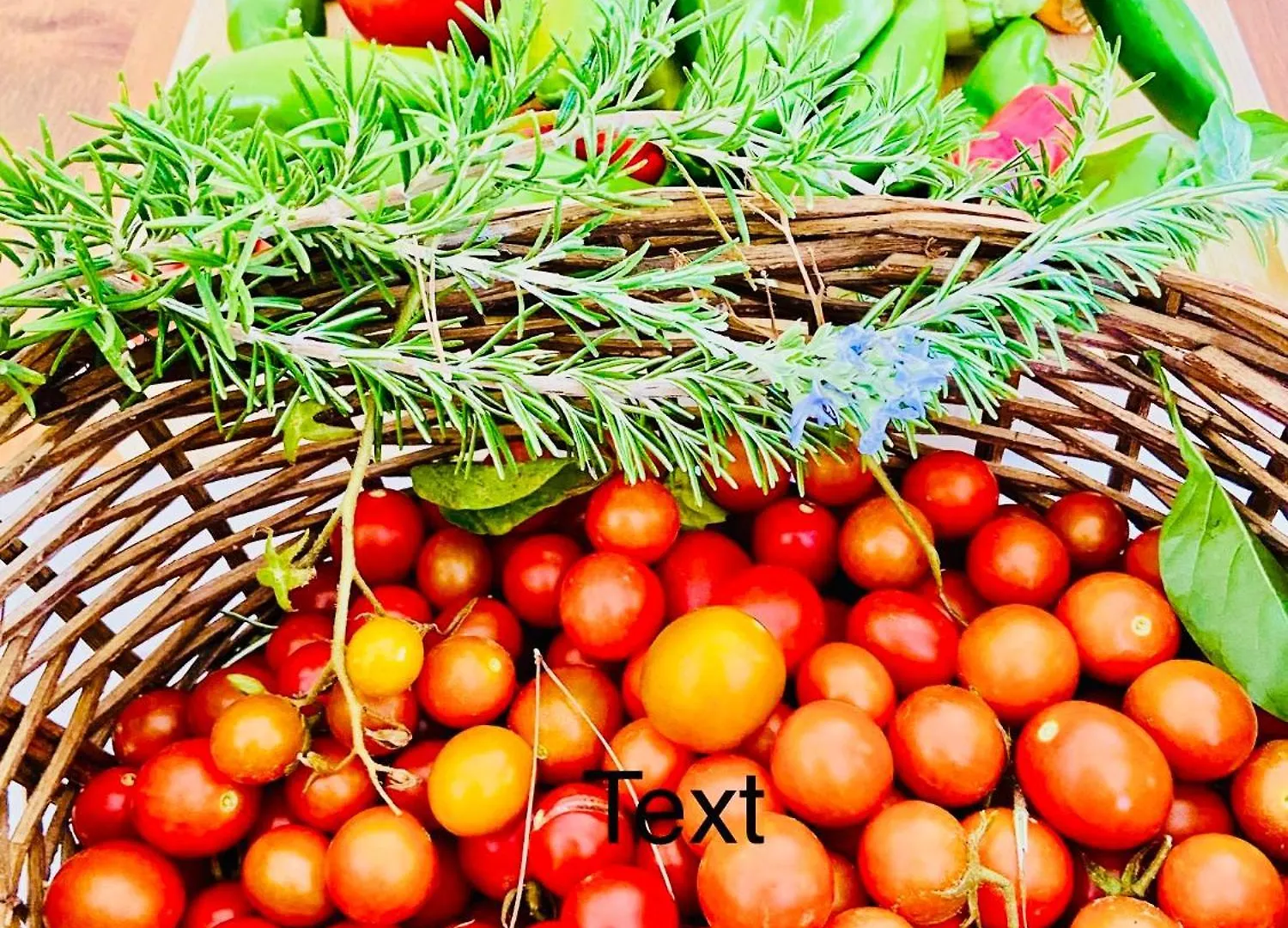 Finca Sa Canova Agroturismo كامبوس مزرعة للإقامة